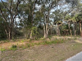 8125 Catrina Lane, Crystal River, FL 34429