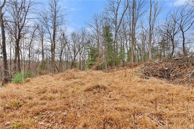 TBD Cedar Trail, Mount Airy, NC 27030