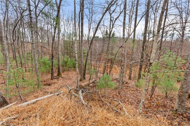 TBD Cedar Trail, Mount Airy, NC 27030