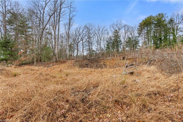 TBD Cedar Trail, Mount Airy, NC 27030