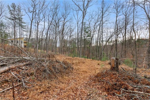 TBD Cedar Trail, Mount Airy, NC 27030