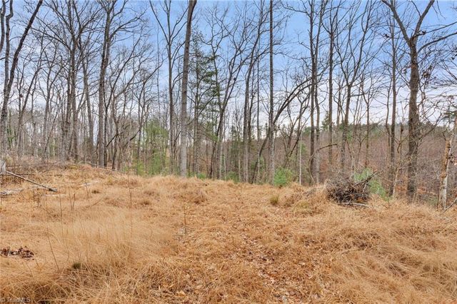 TBD Cedar Trail, Mount Airy, NC 27030