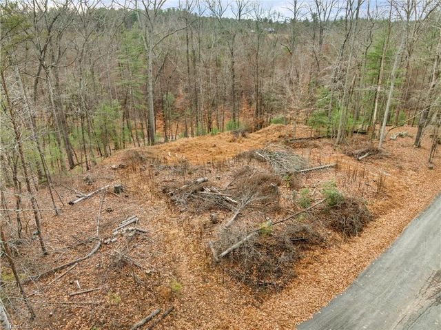 TBD Cedar Trail, Mount Airy, NC 27030