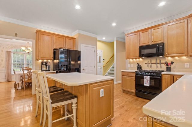 4389 Enchantment Cove Lane, Charlotte, NC 28216