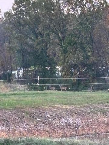 W1235 COUNTY ROAD X, Berlin, WI 54923