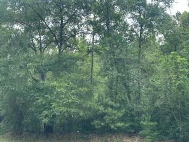 0 Lott Road, Eight Mile, AL 36613