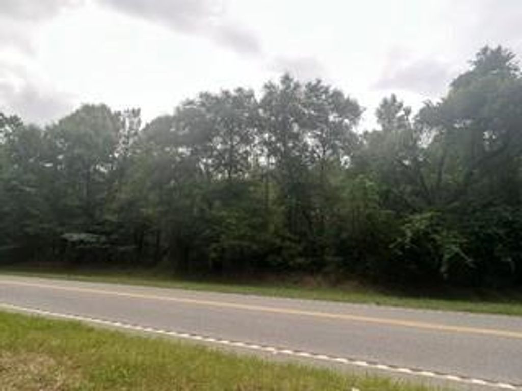 0 Lott Road, Eight Mile, AL 36613 — photo 3