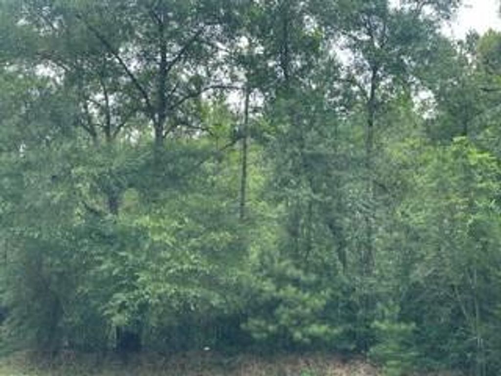 0 Lott Road, Eight Mile, AL 36613 — photo 4