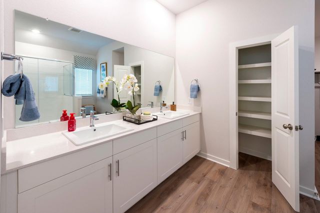 16839 Solomons Plume Lane, Cypress, TX 77429