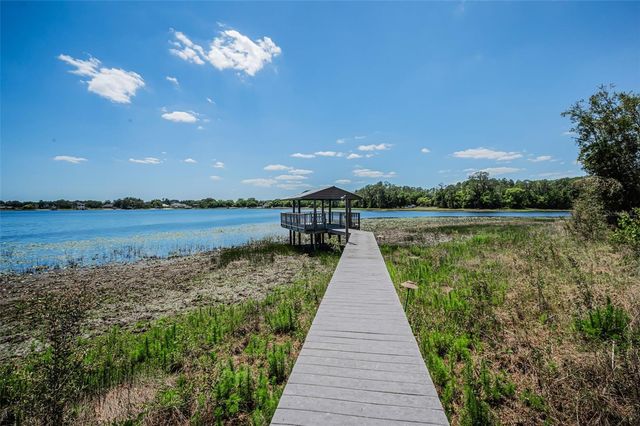 8602 BONNIE COVE LANE, Odessa, FL 33556