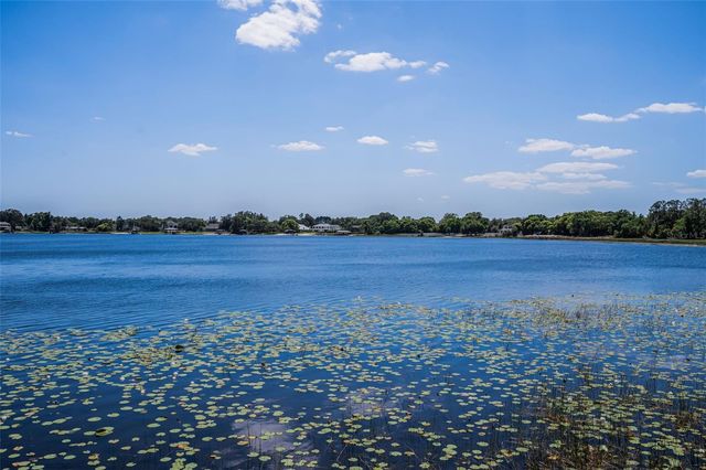 8602 BONNIE COVE LANE, Odessa, FL 33556