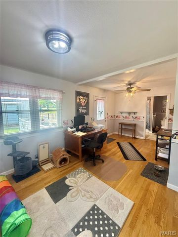 702 N Grant Street, Desloge, MO 63601