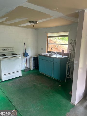 38 Karate Lane, Tiger, GA 30576