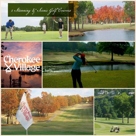 4 Otter Drive, Cherokee Village, AR 72529