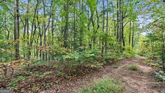 23 C Double Knob, Cherry Log, GA 30522