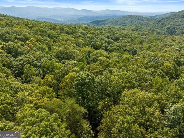 23 C Double Knob, Cherry Log, GA 30522