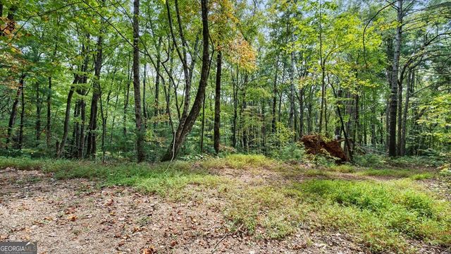 23 C Double Knob, Cherry Log, GA 30522