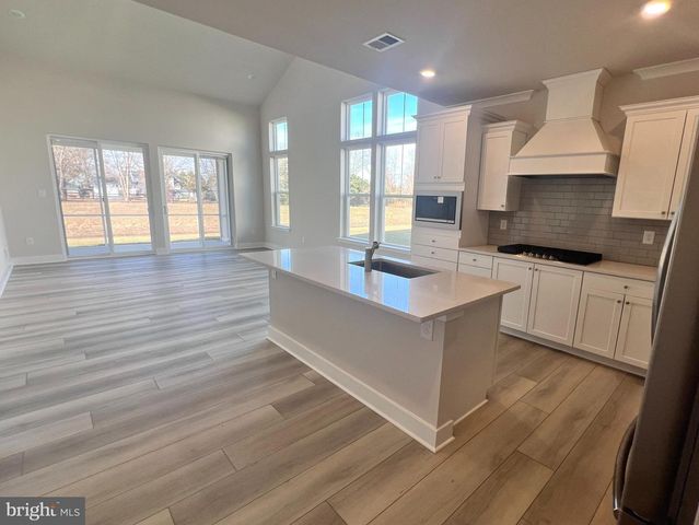 29291 OXFORD DR, Millsboro, DE 19966