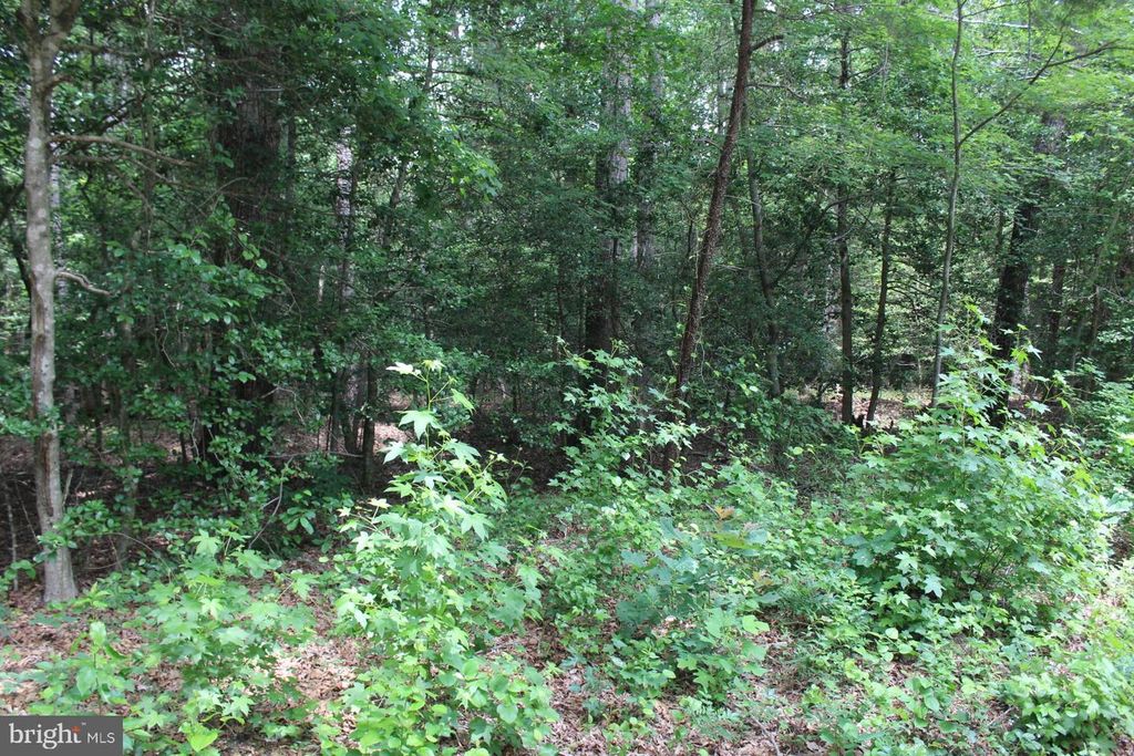 Image 4 of property listing at LOT 3 JACKSON RD, Salisbury, MD 21804