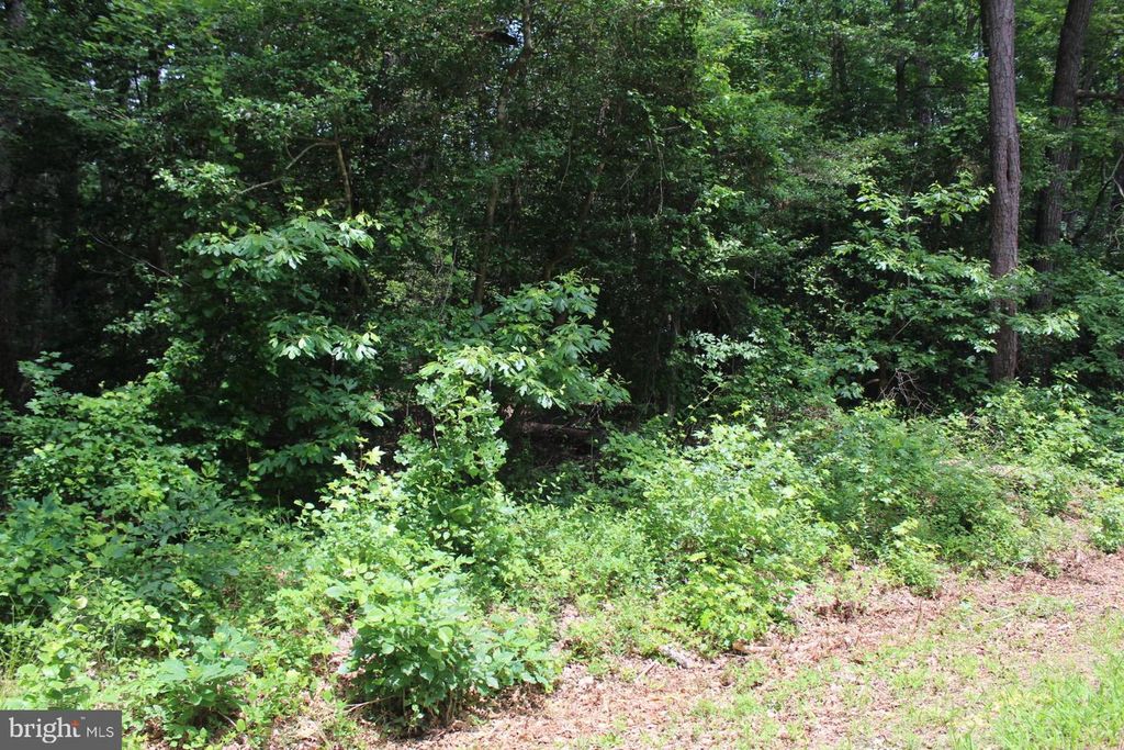 Image 5 of property listing at LOT 3 JACKSON RD, Salisbury, MD 21804