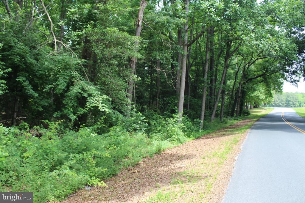 Image 6 of property listing at LOT 3 JACKSON RD, Salisbury, MD 21804