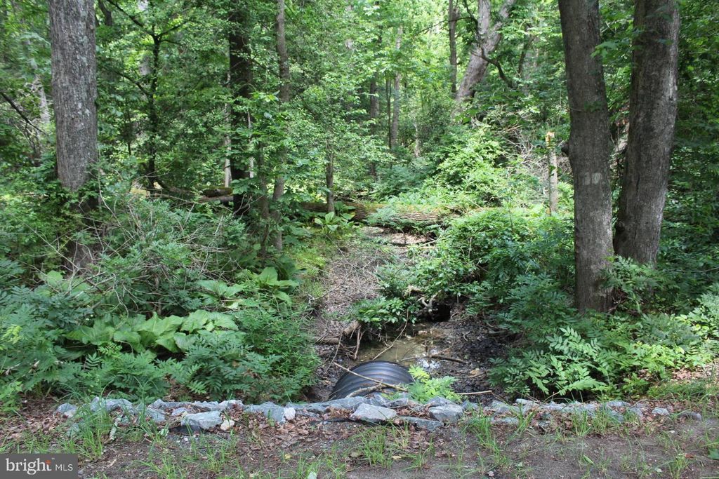 Image 7 of property listing at LOT 3 JACKSON RD, Salisbury, MD 21804
