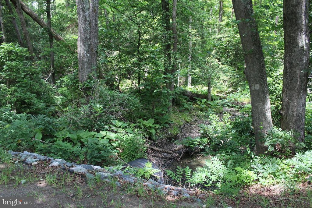 Image 8 of property listing at LOT 3 JACKSON RD, Salisbury, MD 21804