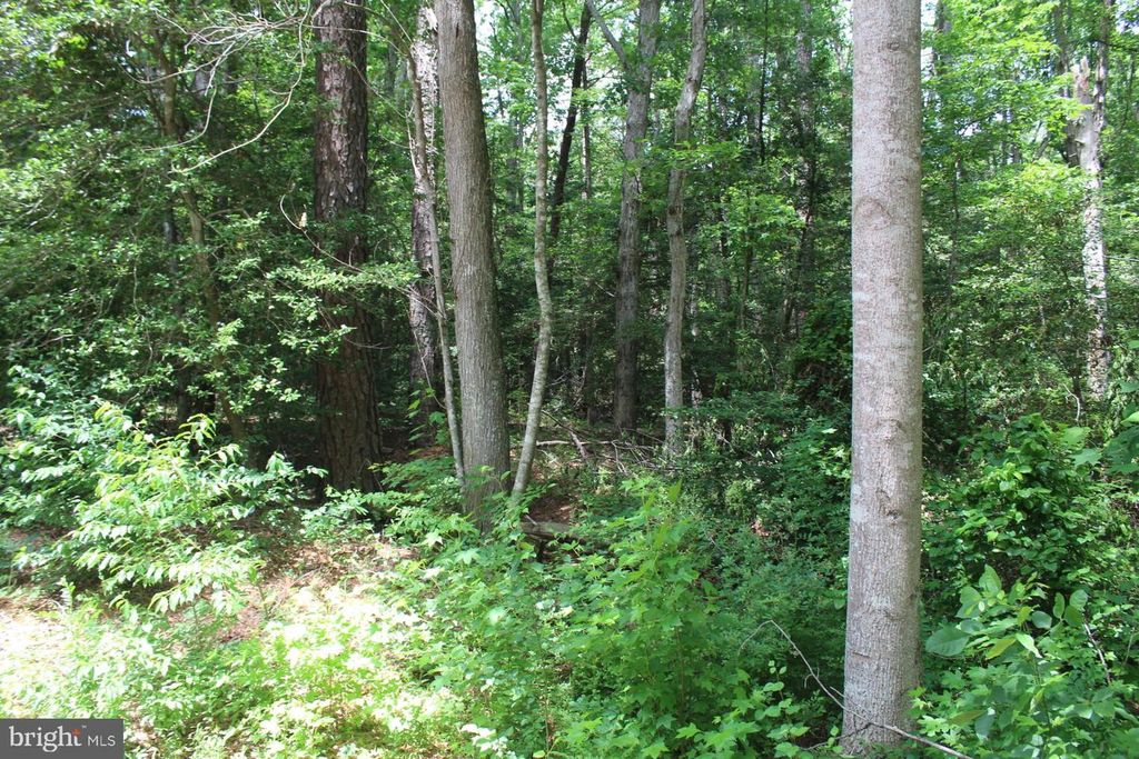 Image 9 of property listing at LOT 3 JACKSON RD, Salisbury, MD 21804