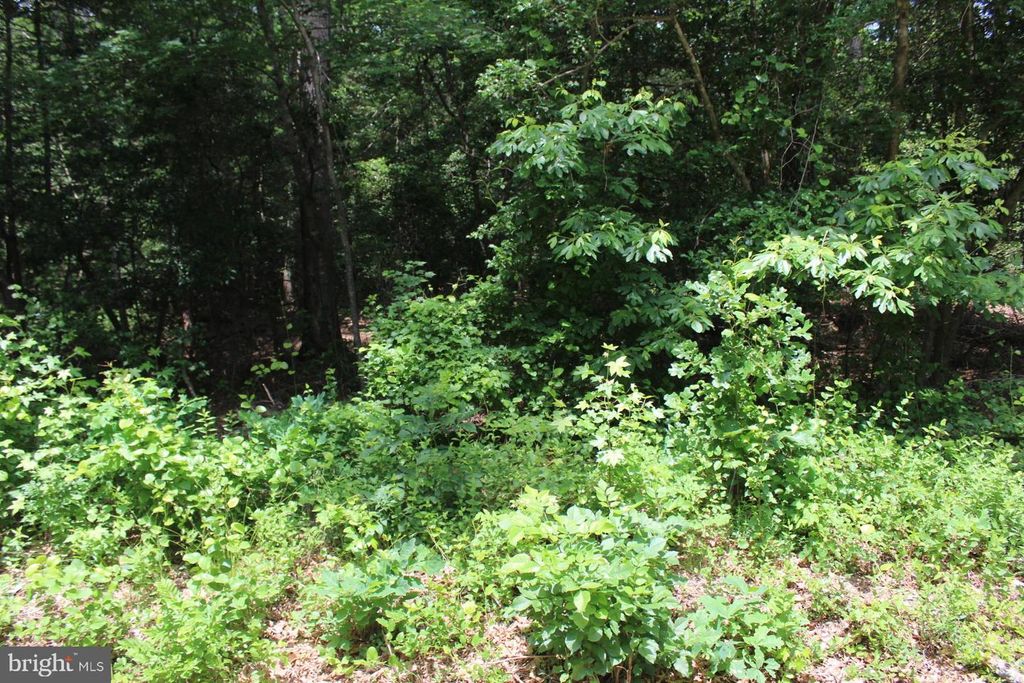 Image 10 of property listing at LOT 3 JACKSON RD, Salisbury, MD 21804