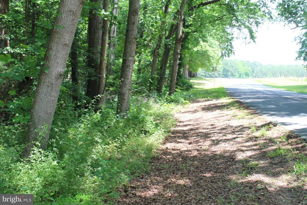 Image 11 of property listing at LOT 3 JACKSON RD, Salisbury, MD 21804