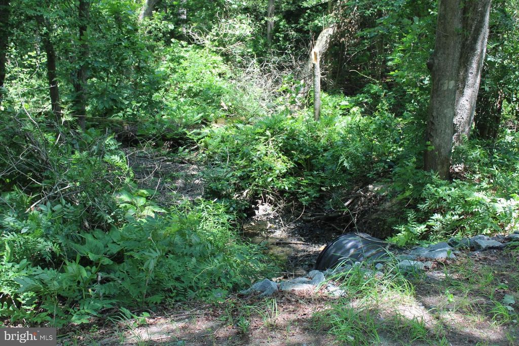Image 13 of property listing at LOT 3 JACKSON RD, Salisbury, MD 21804