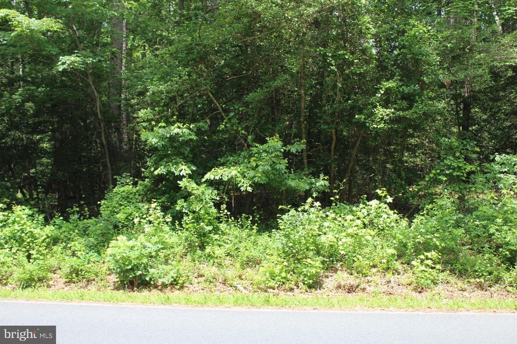 Image 2 of property listing at LOT 3 JACKSON RD, Salisbury, MD 21804