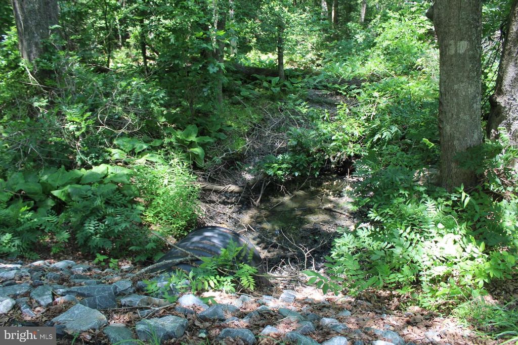 Image 14 of property listing at LOT 3 JACKSON RD, Salisbury, MD 21804