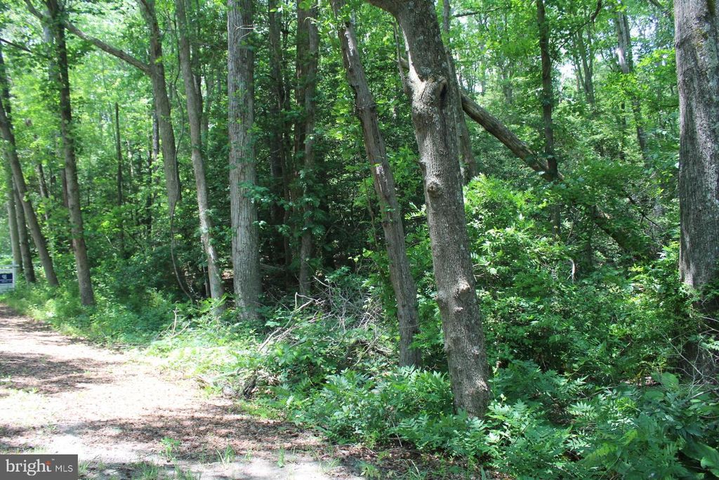 Image 16 of property listing at LOT 3 JACKSON RD, Salisbury, MD 21804