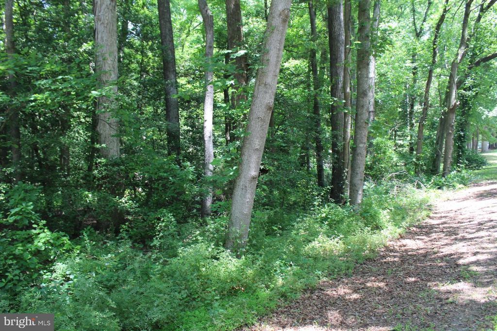 Image 17 of property listing at LOT 3 JACKSON RD, Salisbury, MD 21804