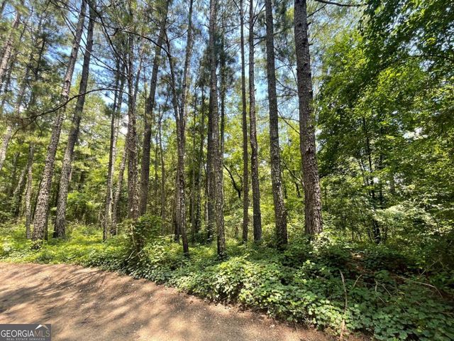 0 Frontier Drive NW, Conyers, GA 30012