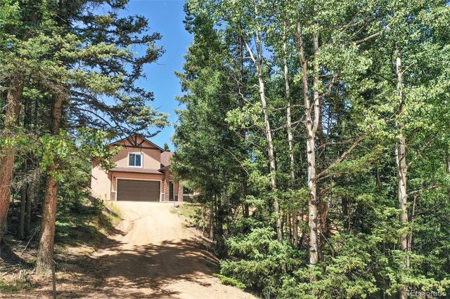 71 Mt Elbert Drive, Florissant, CO 80816