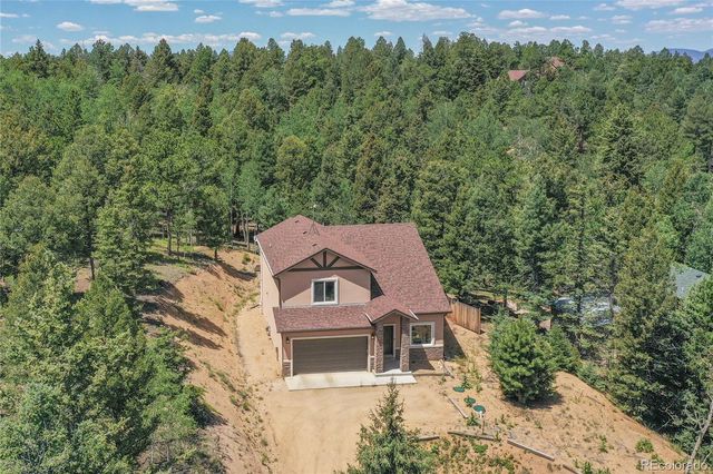 71 Mt Elbert Drive, Florissant, CO 80816