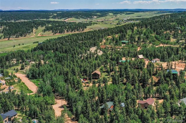71 Mt Elbert Drive, Florissant, CO 80816