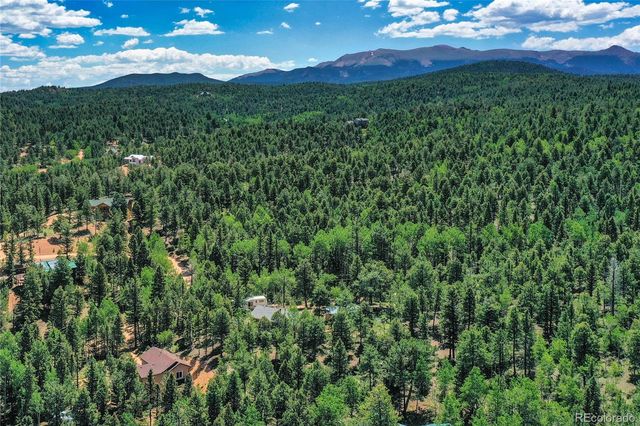 71 Mt Elbert Drive, Florissant, CO 80816