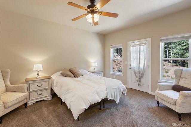 71 Mt Elbert Drive, Florissant, CO 80816