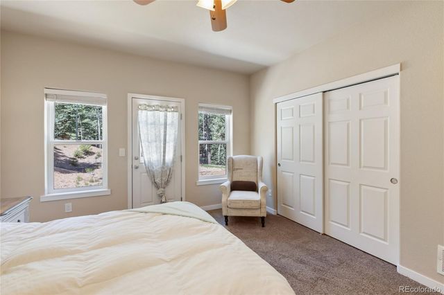 71 Mt Elbert Drive, Florissant, CO 80816