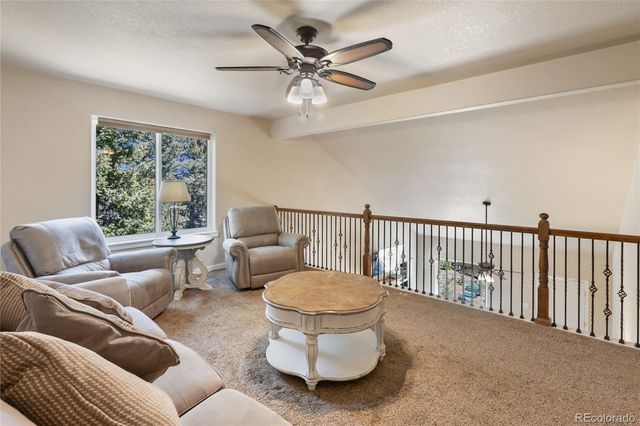 71 Mt Elbert Drive, Florissant, CO 80816