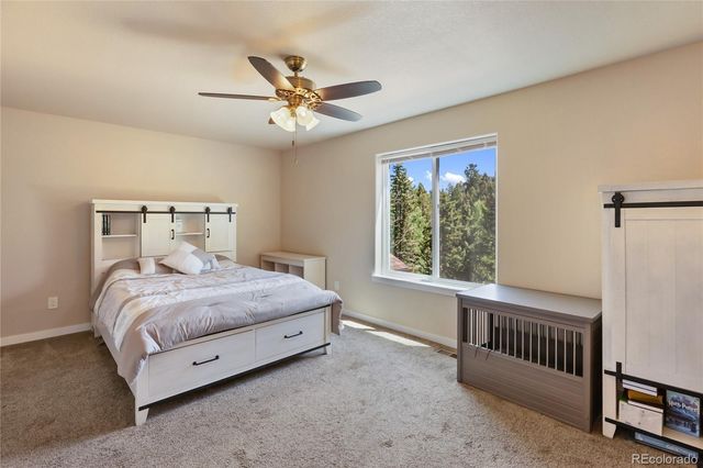 71 Mt Elbert Drive, Florissant, CO 80816