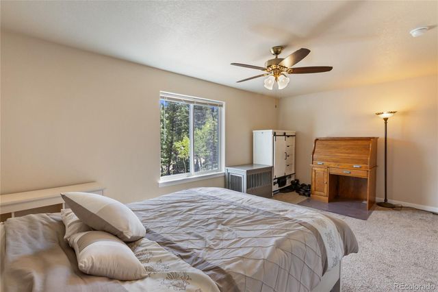 71 Mt Elbert Drive, Florissant, CO 80816