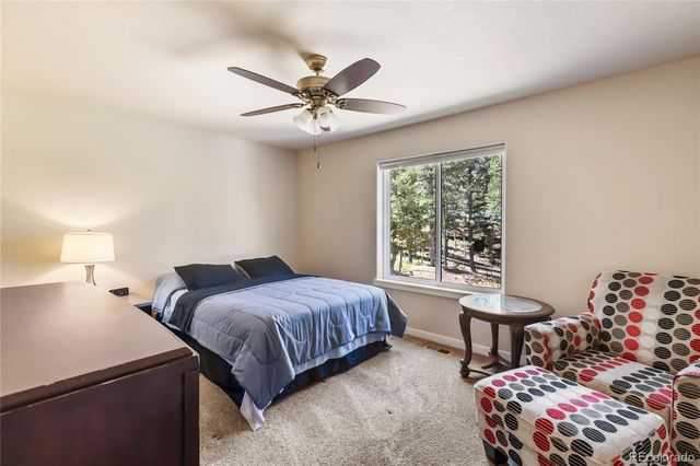 71 Mt Elbert Drive, Florissant, CO 80816