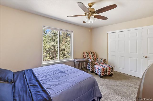 71 Mt Elbert Drive, Florissant, CO 80816
