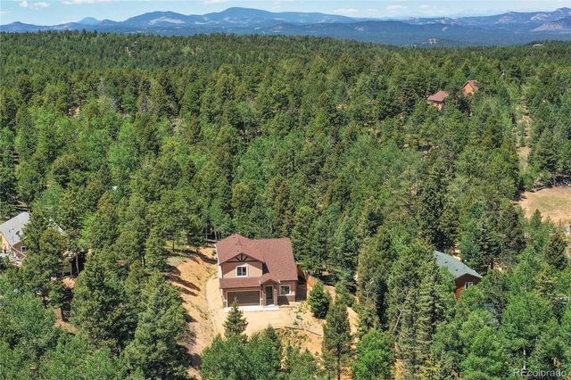 71 Mt Elbert Drive, Florissant, CO 80816