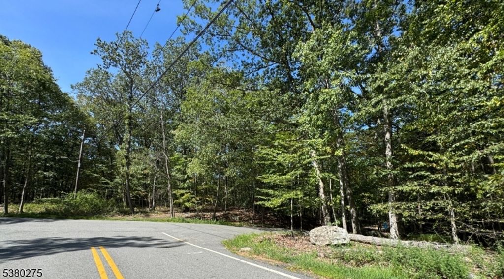 802 Brooklyn Mountain Rd, Hopatcong Boro, NJ 07843 — photo 2