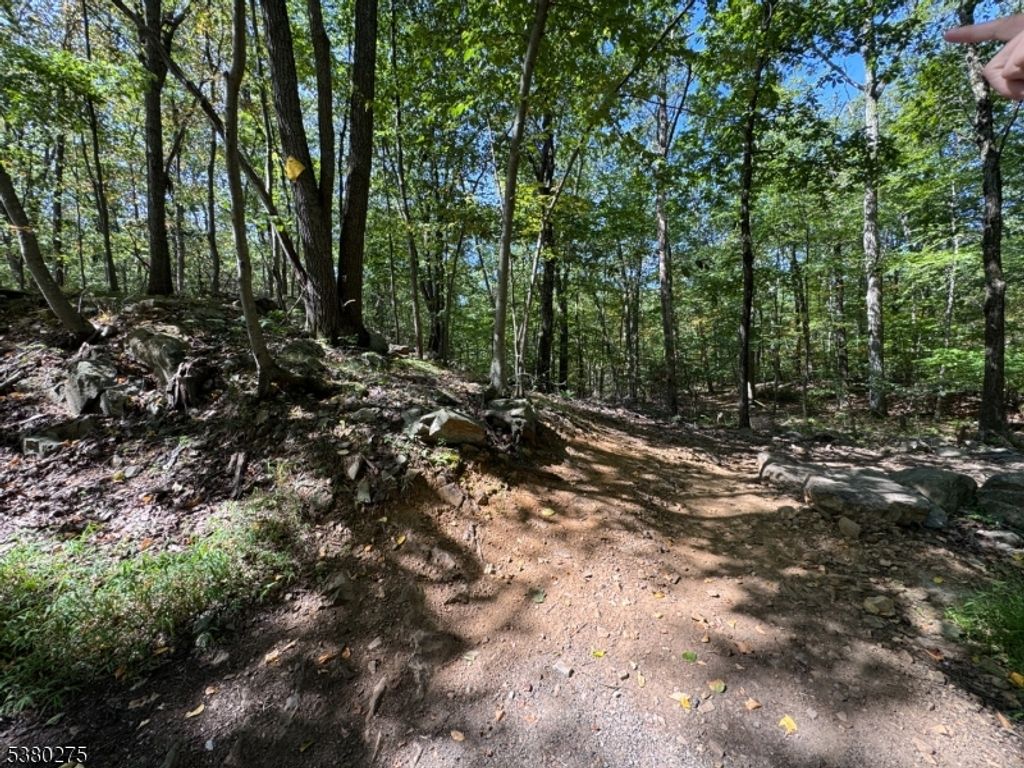 802 Brooklyn Mountain Rd, Hopatcong Boro, NJ 07843 — photo 3